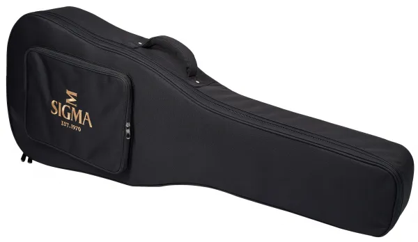 Sigma Guitars DM-SG5