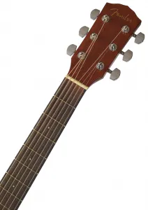 Fender CD-60 V3 DS WN NA