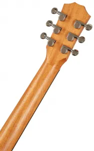 Taylor TS-BT