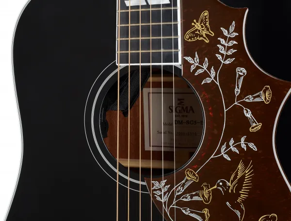 Sigma Guitars DM-SG5-BK