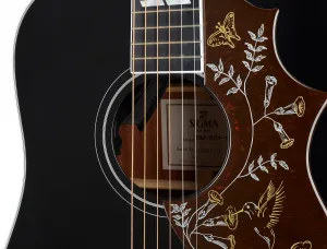 Sigma Guitars DM-SG5-BK