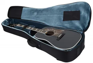 Sigma Guitars DM-SG5-BK