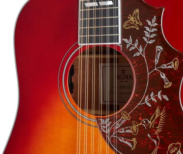 Sigma Guitars DM12-SG5