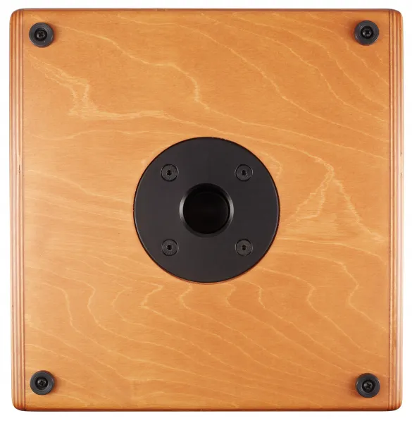Acus ONEFORSTREET 10 WOOD