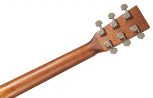 Sigma Guitars DT-1