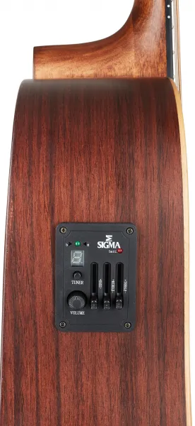 Sigma Guitars DT-STE