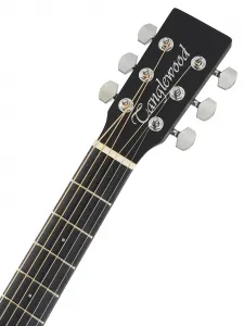 Tanglewood TWBBSDE