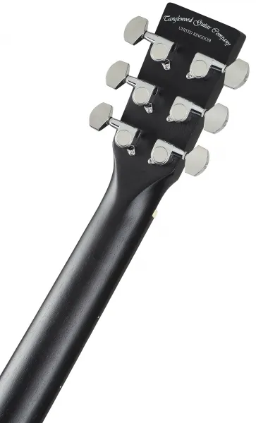Tanglewood TWBBSDE