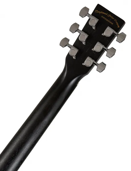 Tanglewood TWBBSFCE