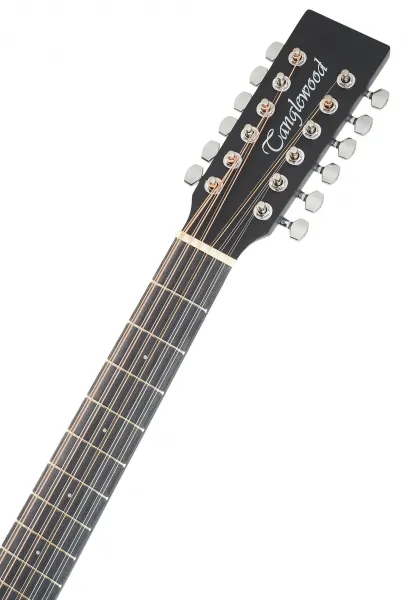 Tanglewood TWBBSFCE12