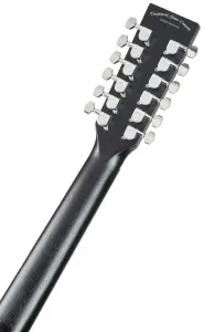 Tanglewood TWBBSFCE12