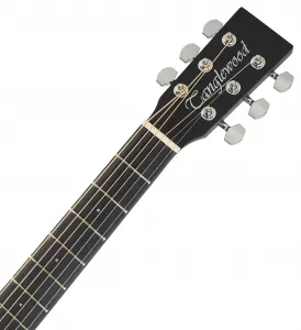 Tanglewood TWBBOE