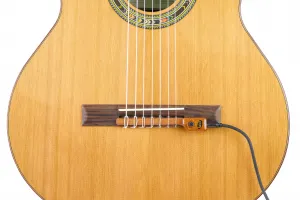 KNA Pickups NG-2 7S