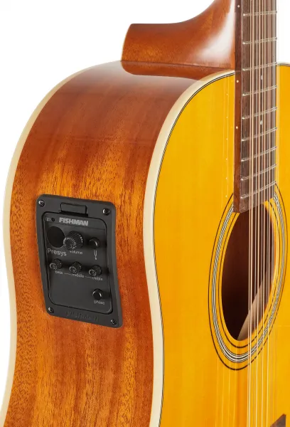 Tanglewood TW4012SDANE