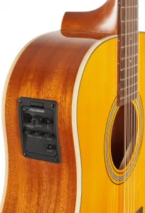 Tanglewood TW4012SDANE