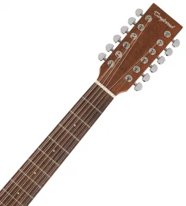 Tanglewood TW4012SDANE