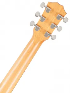 Taylor GS Mini Mahogany