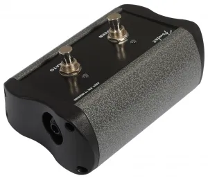 Fender Tone Master Princeton Reverb