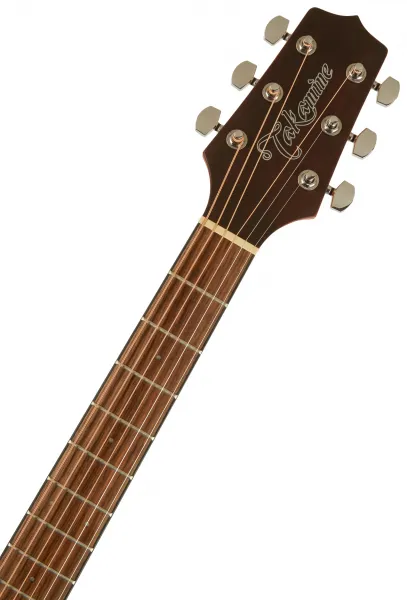 Takamine GD11MCE-NS
