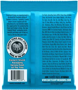 Ernie Ball 2238 RPS Extra Slinky