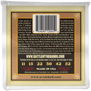 Ernie Ball 2045 Earthwood Silk & Steel Soft