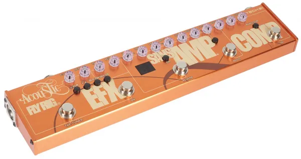 Tech 21 Acoustic Fly Rig