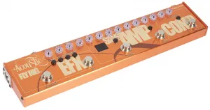 Tech 21 Acoustic Fly Rig