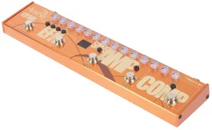 Tech 21 Acoustic Fly Rig