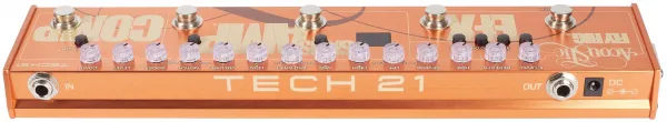 Tech 21 Acoustic Fly Rig