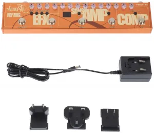 Tech 21 Acoustic Fly Rig