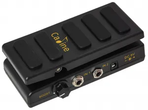 Caline CP-31 Volume