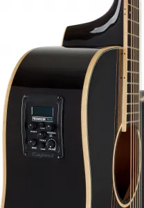 Tanglewood TW5CE BS
