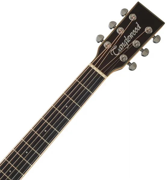 Tanglewood TW5CE BS