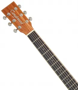Tanglewood TW5CE NA LH