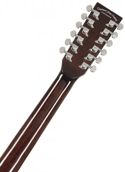 Tanglewood TW612CE AVB