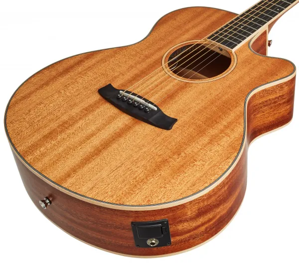 Tanglewood TUN4CE