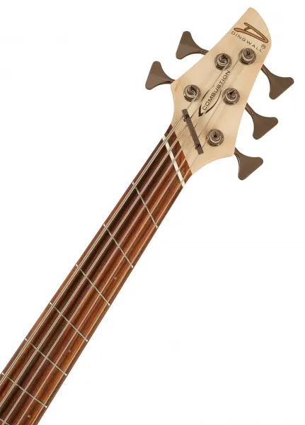 Dingwall Combustion 5 PF Indigo Burst