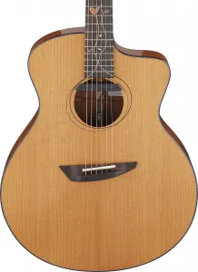 Ibanez Jon Gomm JGM11