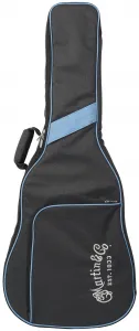 Martin D-X2E ZIR