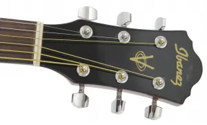 Ibanez V50NLJP Natural