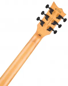 ESP LTD EC-200DX CHARCOAL BURST