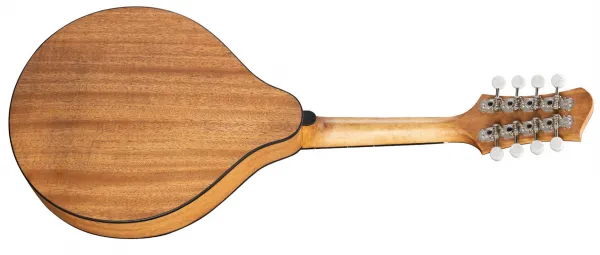 Eastman PCH-M104