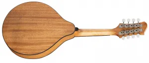 Eastman PCH-M104