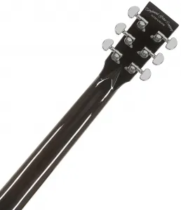 Tanglewood TW4CE BS