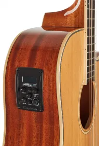 Tanglewood TW5CE NA
