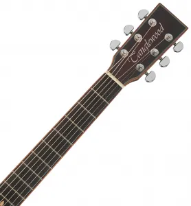 Tanglewood TWX6CE K