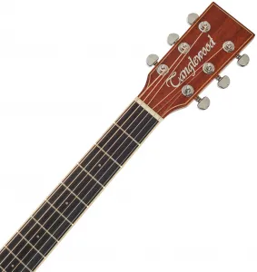 Tanglewood TW5CE NA