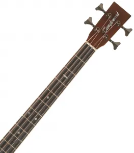 Tanglewood TRU7ABCE AW