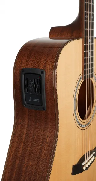 Tanglewood TW15HE