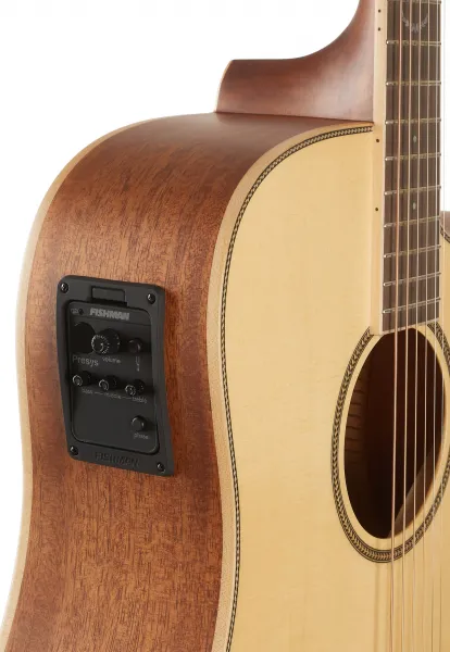 Tanglewood TP5SE